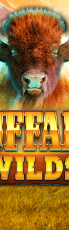 Buffalo Wilds - Game Title
