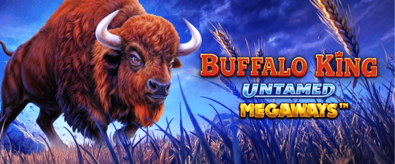 Buffalo King Untamed Megaways - Game Title