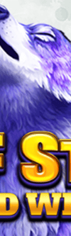 Wolf Strike Hold and Win Extra - Game Title