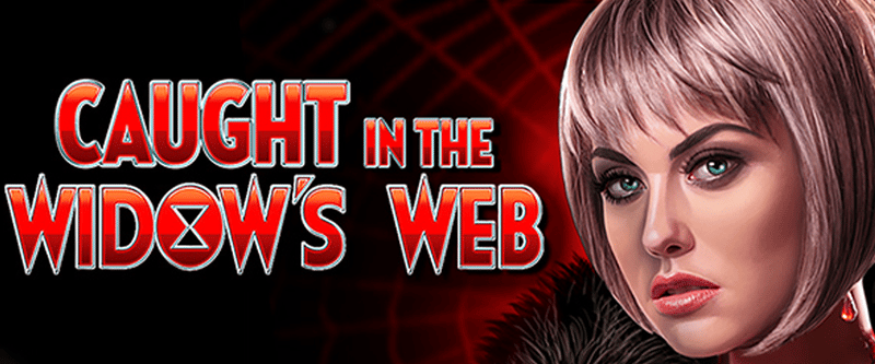 Caught in the Widows Web - Game Title