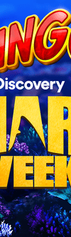 Slingo Shark Week - Game Title