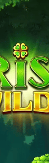 Irish Wilds - Game Title