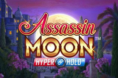 Play Assassin Moon
