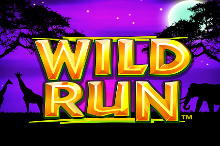 Wild Run - Game Title