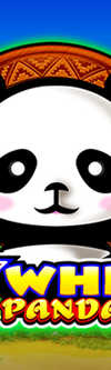 X Wheel Panda - Game Title