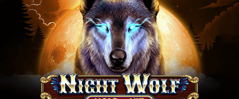 Night Wolf Hold and Hit - Game Title