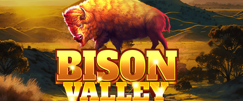 Bison Valley - Game Title