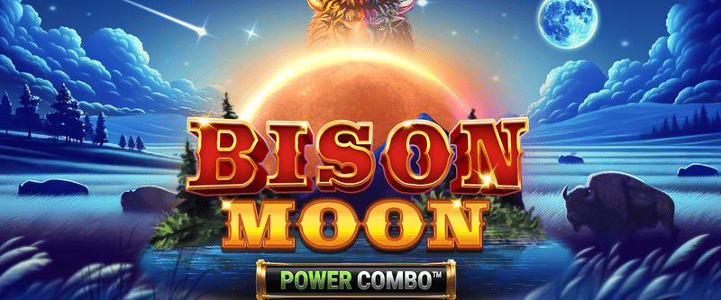 Bison Moon Power Combo - Game Title