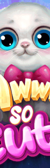 Awww So Cute - Game Title