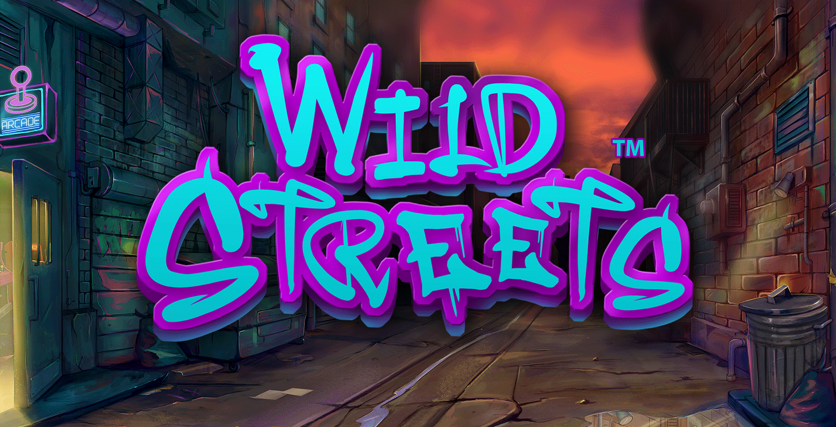 Wild Streets - Game Title