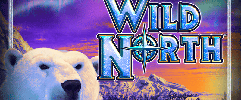 Wild North - Game Title
