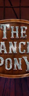 The Prancing Pony - Game Title