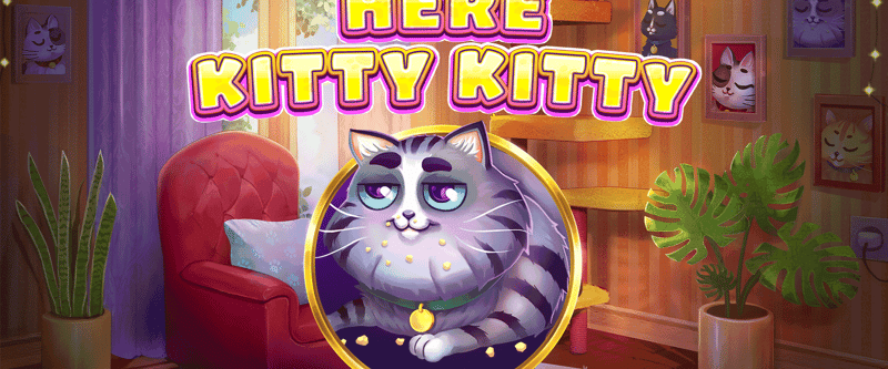 Here Kitty Kitty - Game Title