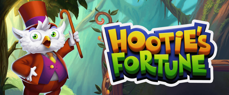 Hootie's Fortune - Game Title