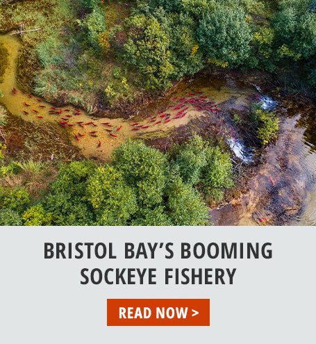 Guide to Bristol bay