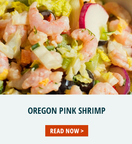 Oregon Pink Shrimp