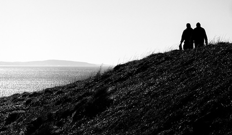 Harvest Report Banner