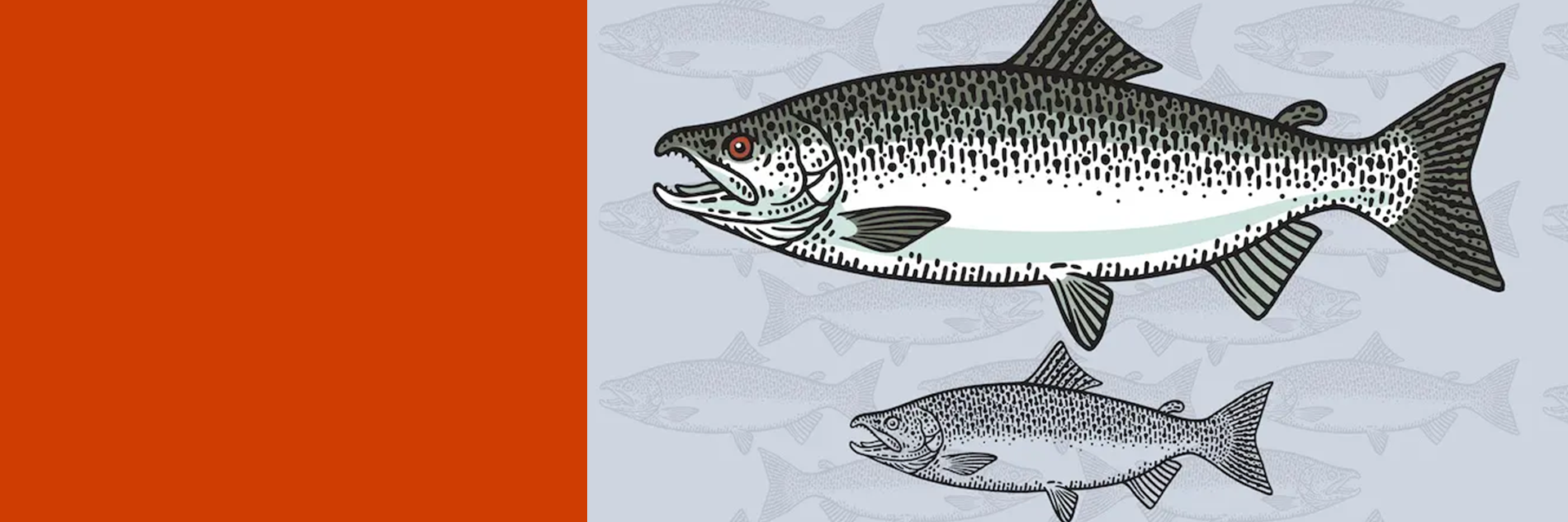 Copper River Salmon Vital Choice