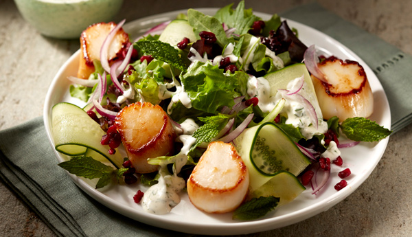 Seared Scallops with Pomegranate Cucumber Salad
