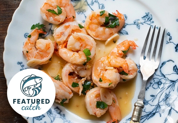 Discover Delicious Shrimp and Prawns