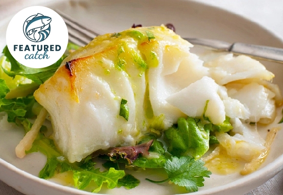 Shop Chilean Sea Bass