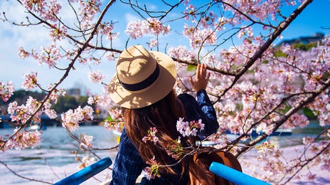 Japan_iStock-942550846.jpg