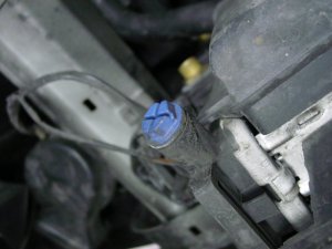 Radiator drain plug