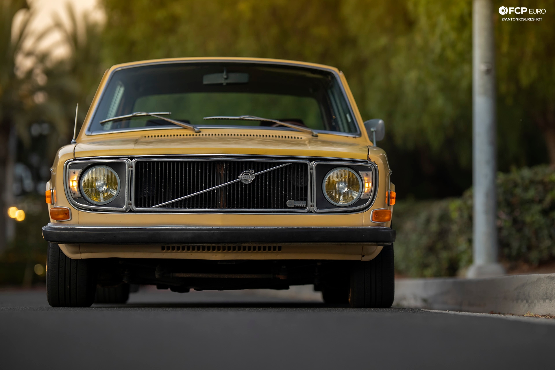 Volvo 142S Gotti Wheels EOSR0593 crop