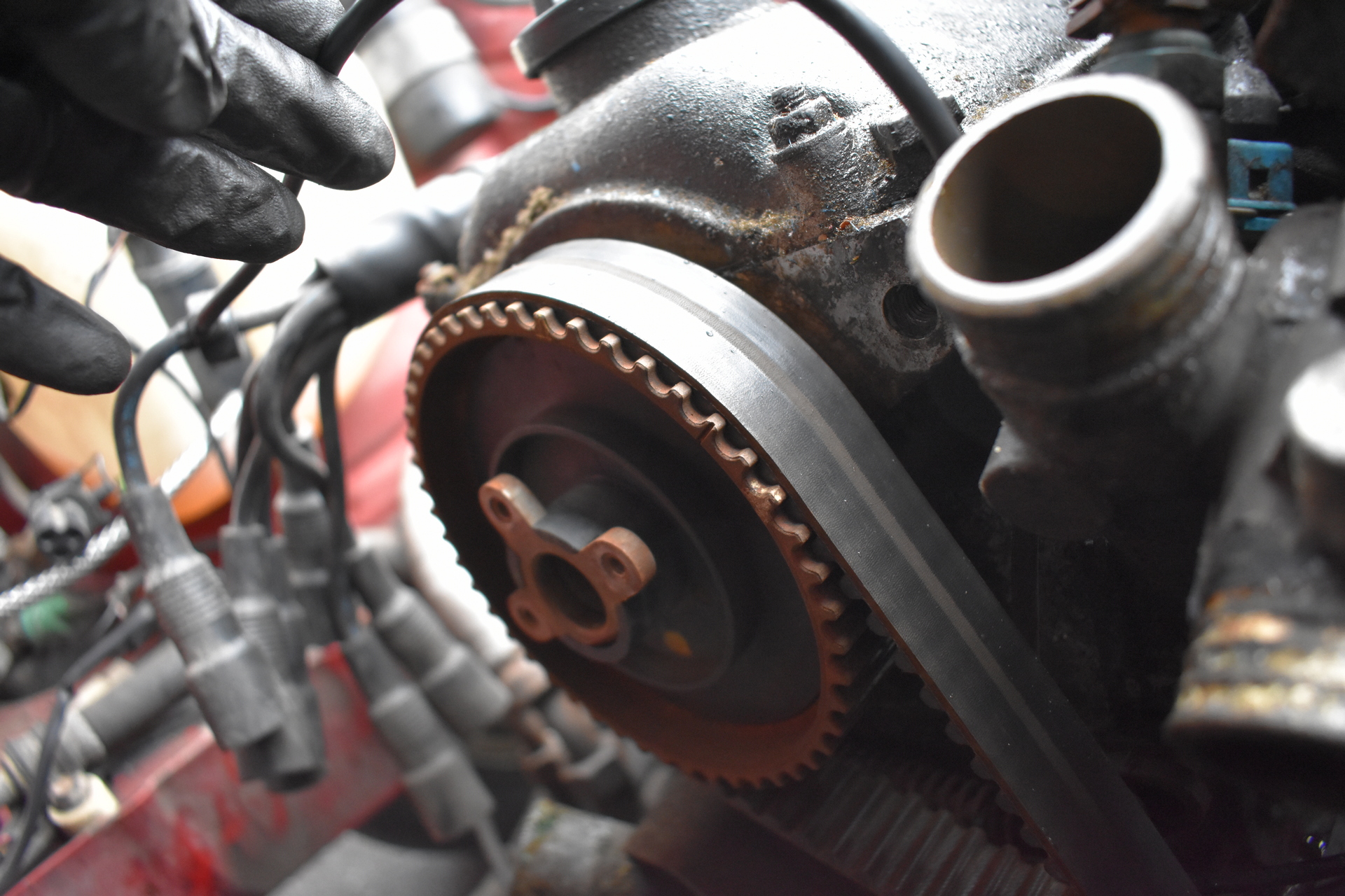 BMW E30 Buyers Guide Timing Belt