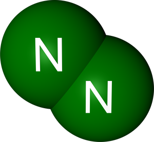 N2
