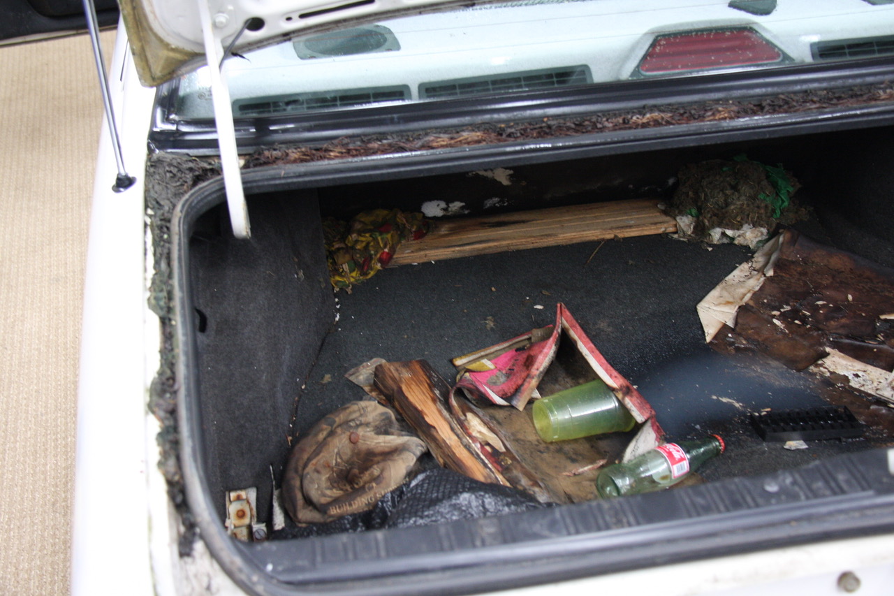 GRM E30 dirty - trunk