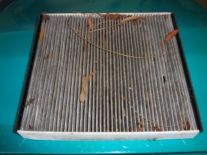 A typical failed filter after 10-20,000mi. This won't be causing harm to anyone.