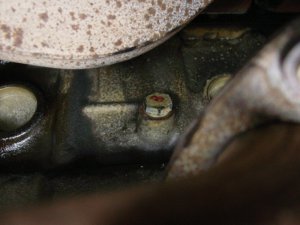 coolant drain plug