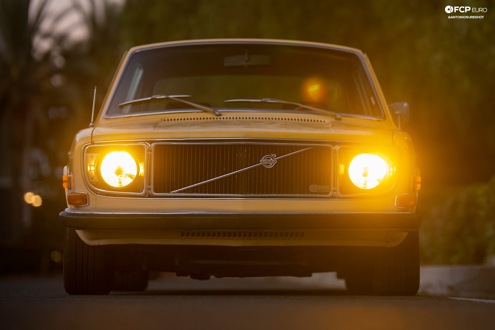 Volvo 142S Gotti Wheels EOSR0590 crop