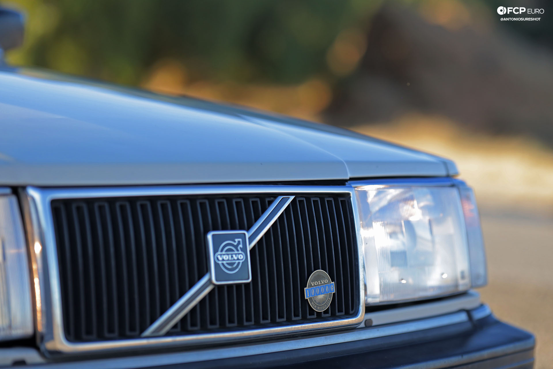 Volvo 245 Wagon Grill