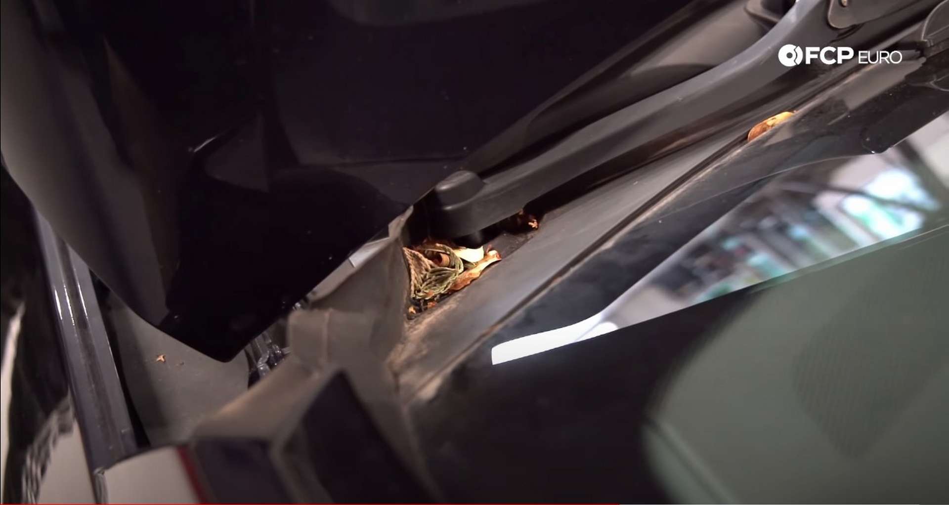 Tech Tip Preventing Interior Leaks blocked cowl drains