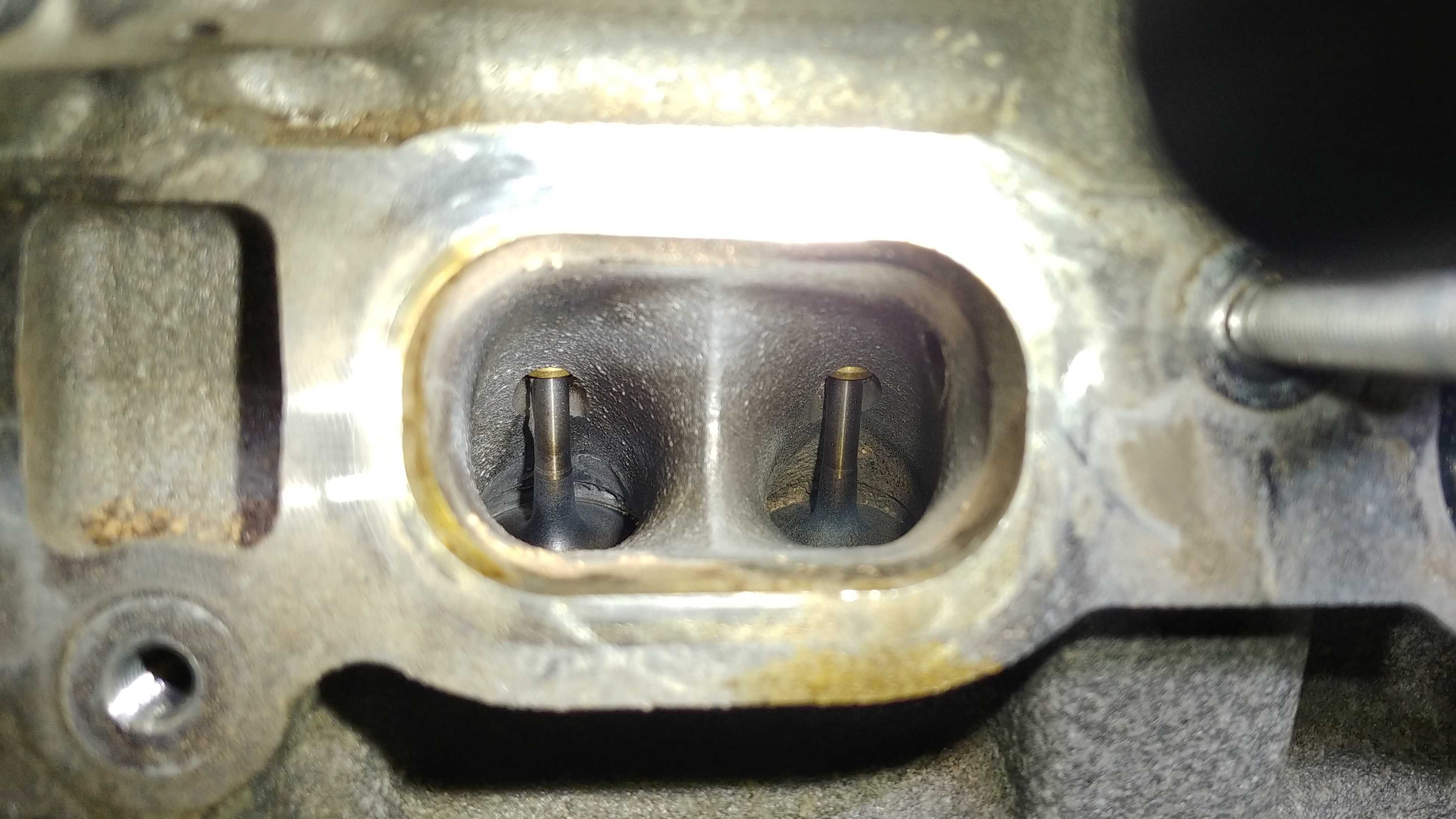 BMW N55 Engine Guide Clean Intake valves
