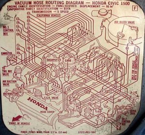 Vacuum Hoses