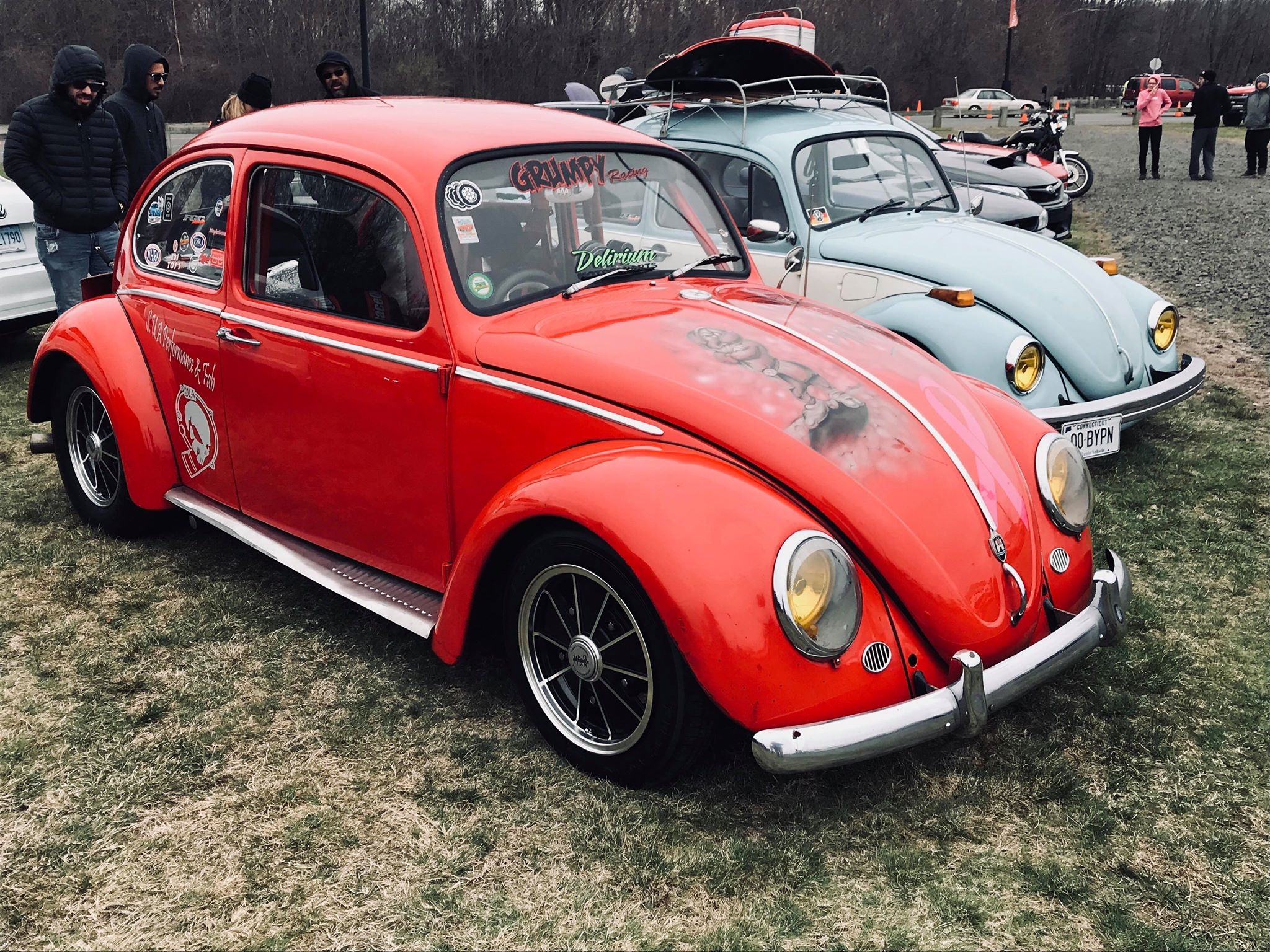 beetle