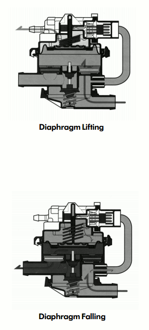 LDP operation