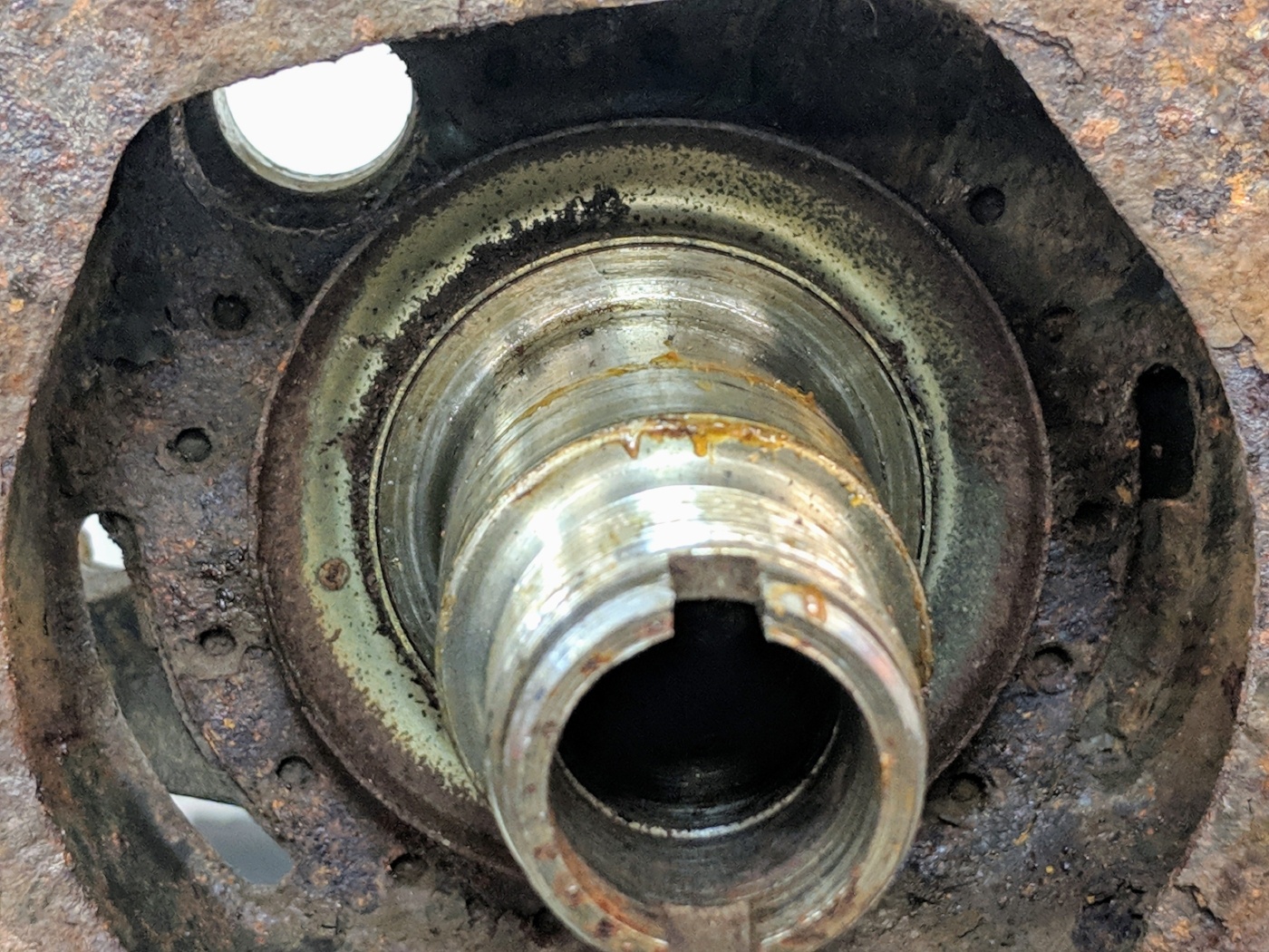 BMW E36 wheel bearing hub dust cap