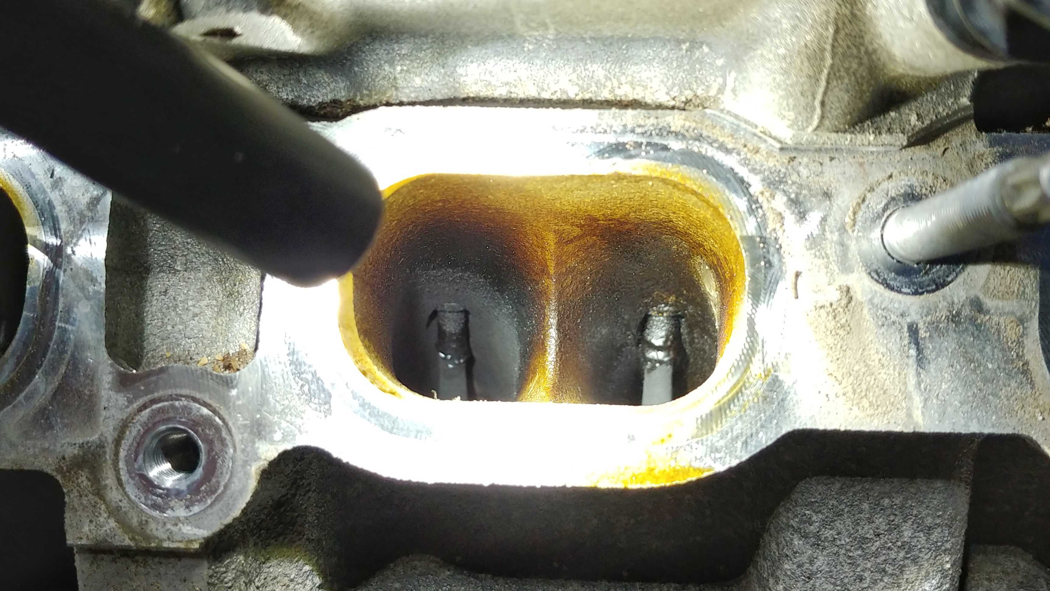 BMW N55 Engine Guide Dirty intake valves