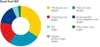 Dual fuel energy bill breakdown of costs