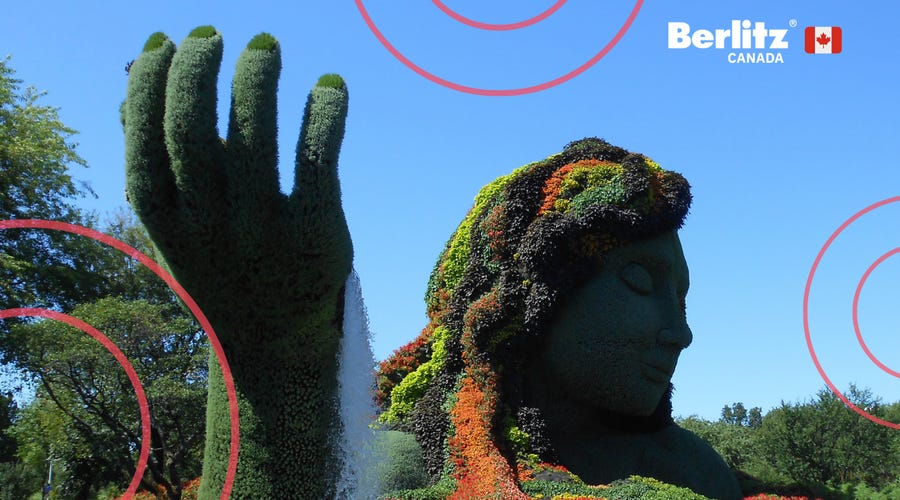 Top 7 activities to learn French in Montreal