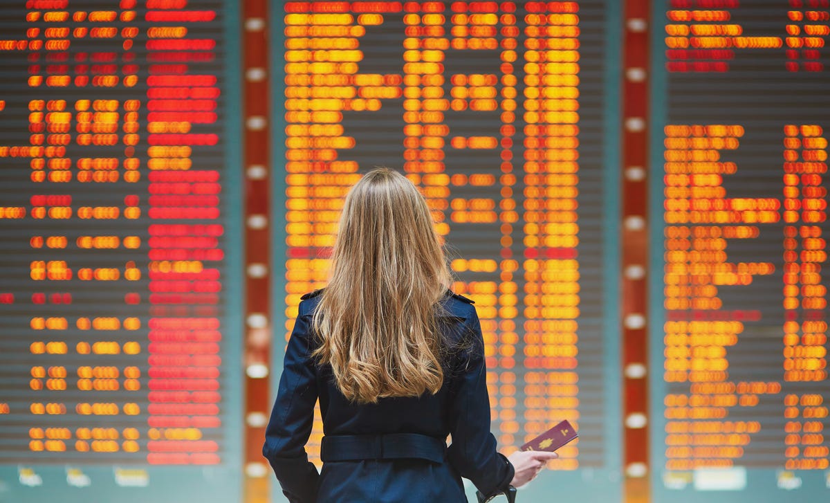 woman looking at the flights to canada to study english