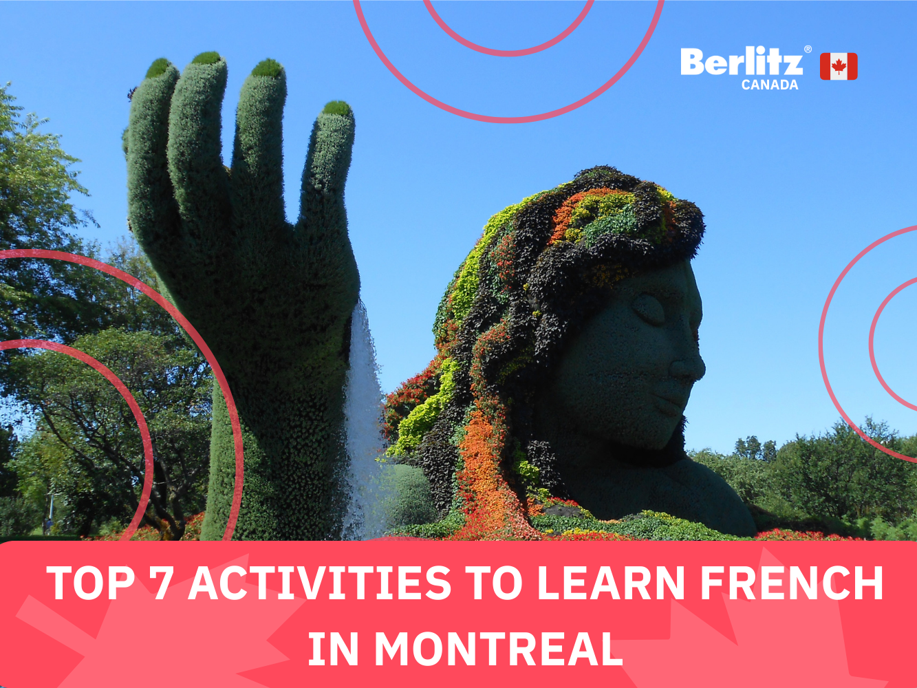 Top 10 activities to learn French in Montreal