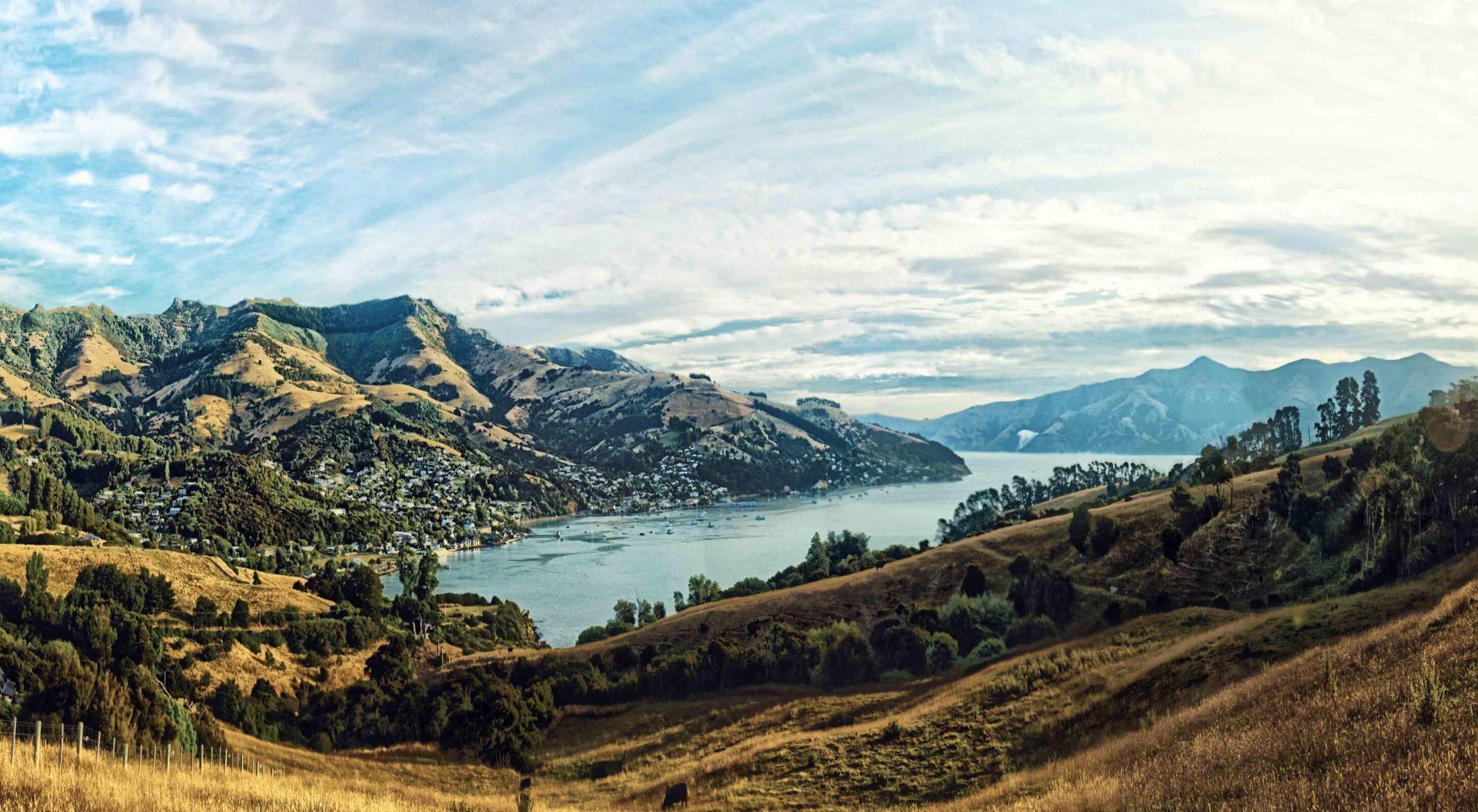 Run through New Zealand in the iFIT New Zealand Fundamental Running Series Run through New Zealand in iFIT's New Zealand Fundamental Running Series