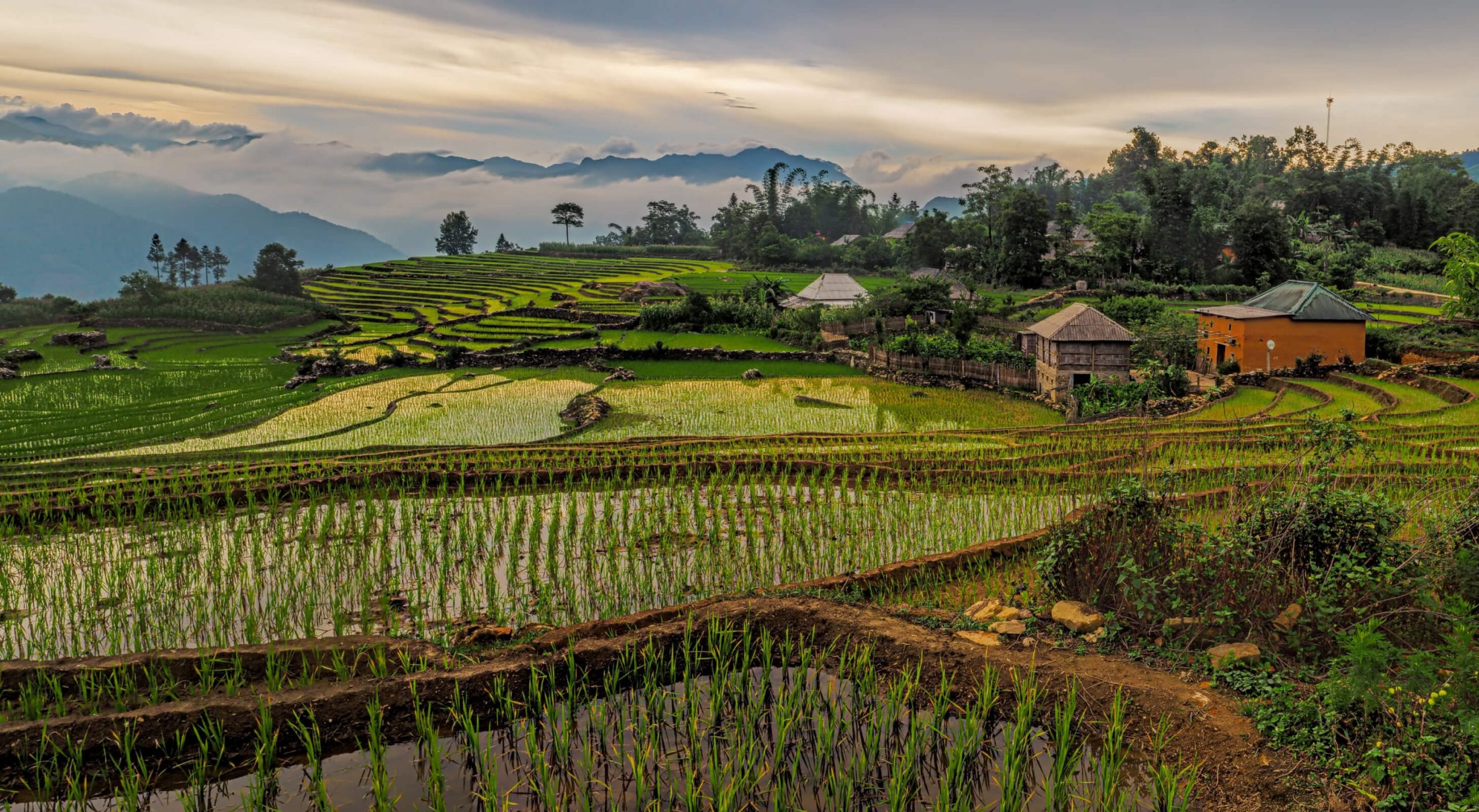 Explore Vietnam in iFIT's 5K Training Series Part 1: Vietnam Explore Vietnam in the iFIT 5K Training Series Part 1: Vietnam