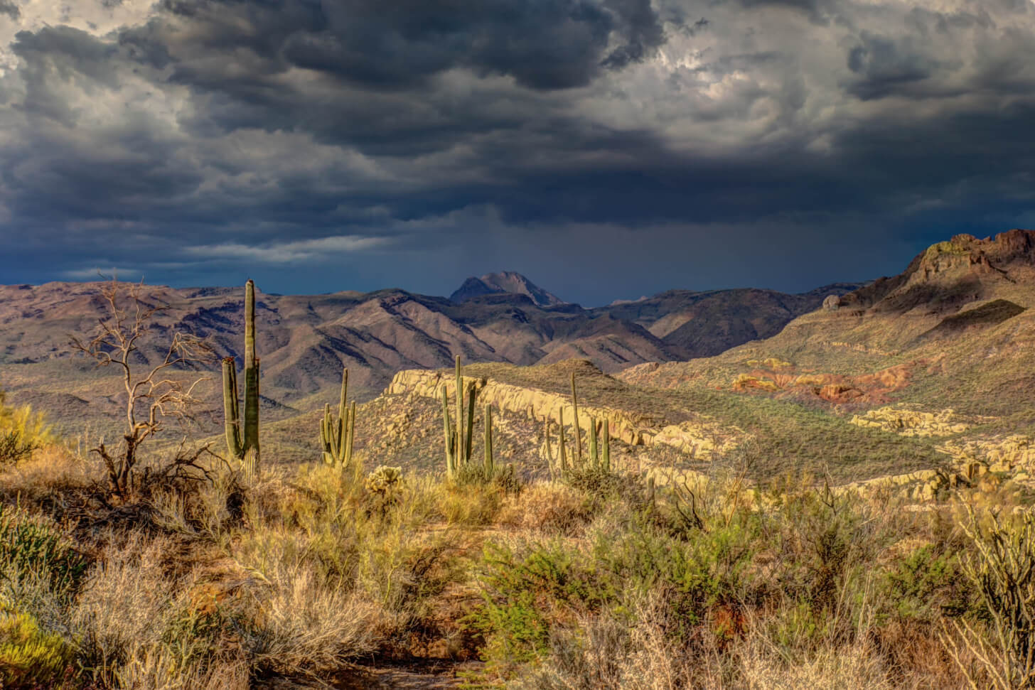 iFIT's Couch to 40K Part 1: Arizona Series location iFIT Couch to 40K Part 1: Arizona Series location