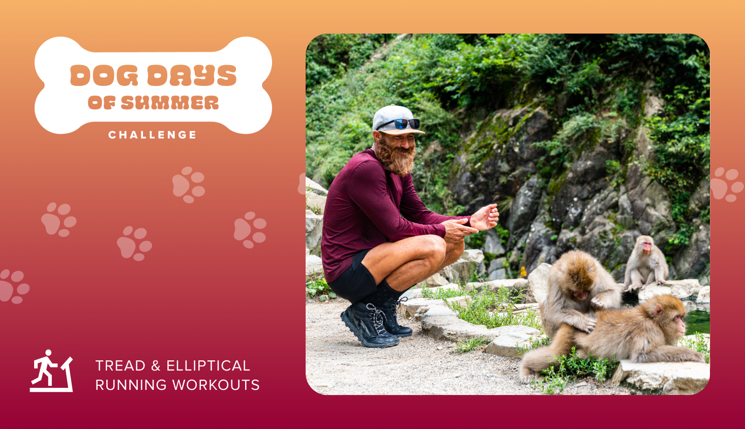 Dog Days of Summer Running Challenge